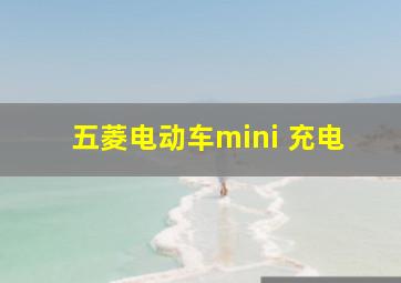 五菱电动车mini 充电